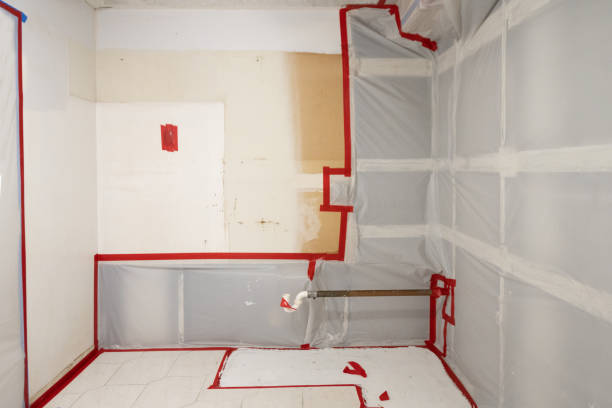 Best Post-Construction Mold Inspection  in Bethel Rk, PA