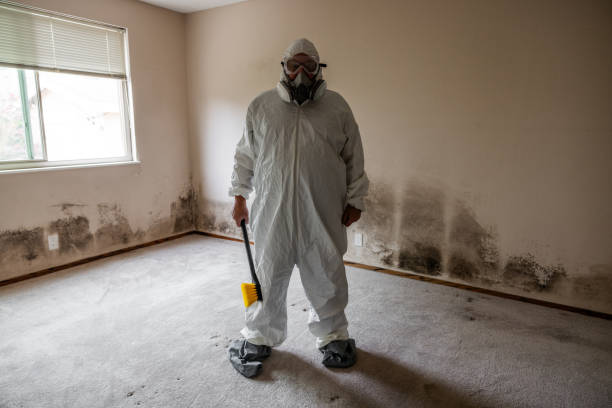 Best Emergency Mold Remediation  in Bethel Rk, PA